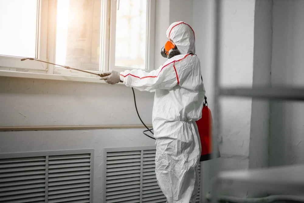 Professional mold remediation services in West Columbia, TX